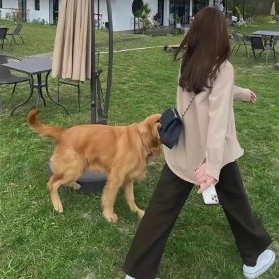 李寿根的眼色教练 在线观看
